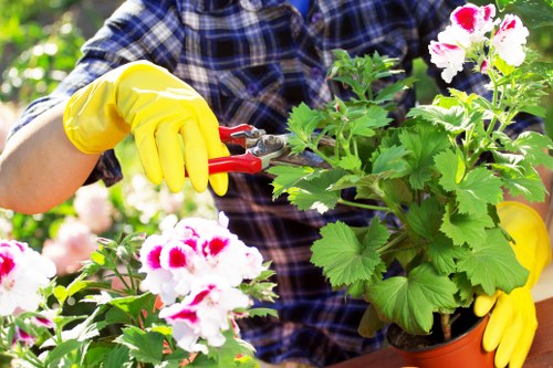 Professional hedge cutting for a residential garden in Gunnersbury
