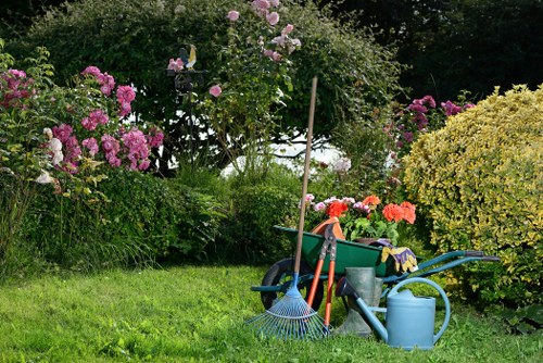 Local hedge maintenance service working in Gunnersbury