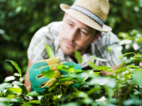 PCI compliant payment security for Gunnersbury tree services